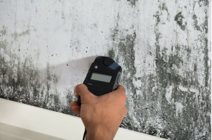 Mold inspector using a moisture meter to test a wall for hidden water damage in Corpus Christi TX
